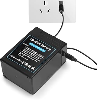 TOPUSSE Upgraded Rechargeable 6V 6Ah LiFePO4 Battery with USB Charge Design, 6 Volt Lithium Battery 2000+ Cycles with BMS (F1 Terminals) for Deer Feeder 1 Pack