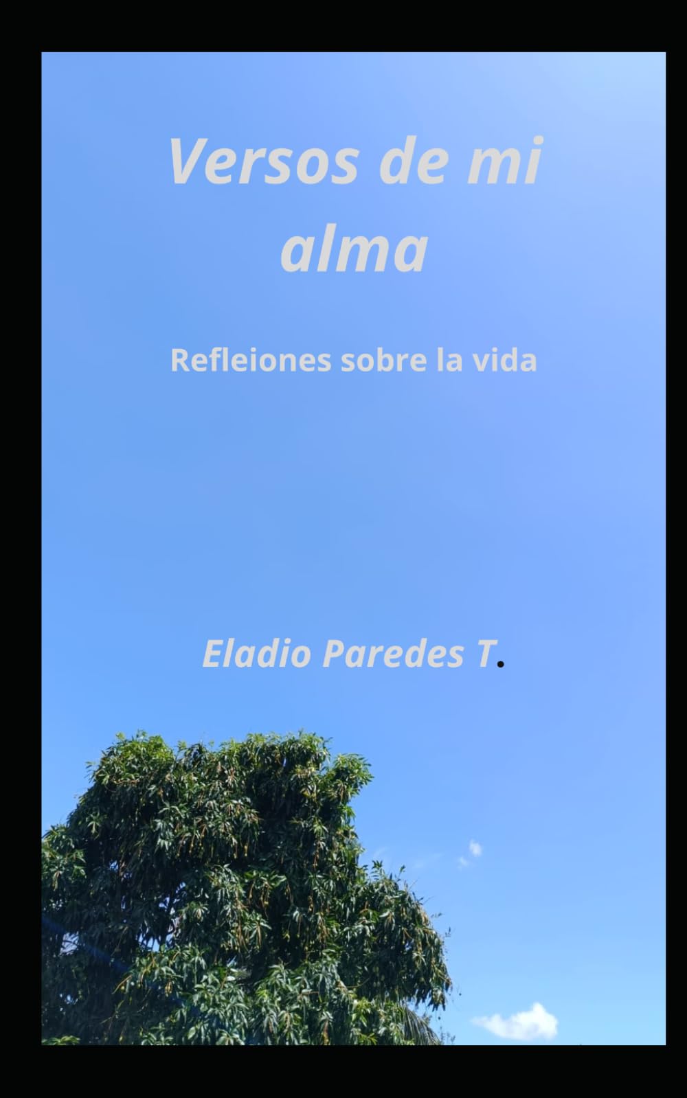Versos de mi alma: Reflexiones sobre la vida