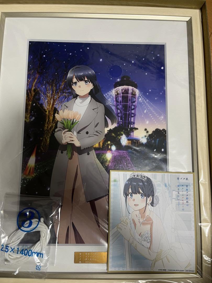 Amazon.co.jp: 青ブタ展 キャラファイングラフ 牧之原翔子 大学生 色紙 