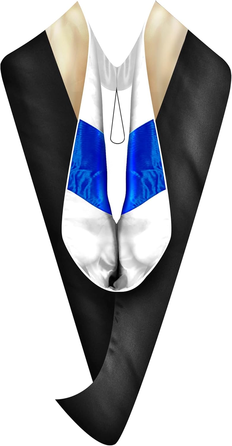 master of business administration hood color