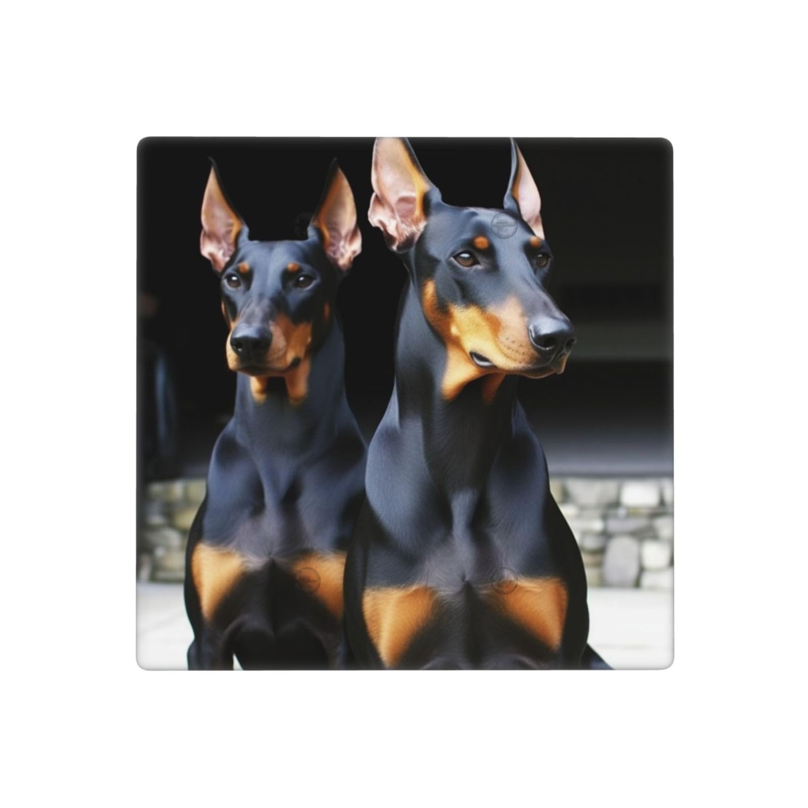 Kloph Style Q Decorator Wall Plate 2 Gang Light Switch Covers Doberman Wallplate Double Toggle Switch Plate Mid-Size Electrical Outlet Covers Decorative Wall Switch Plate Cover