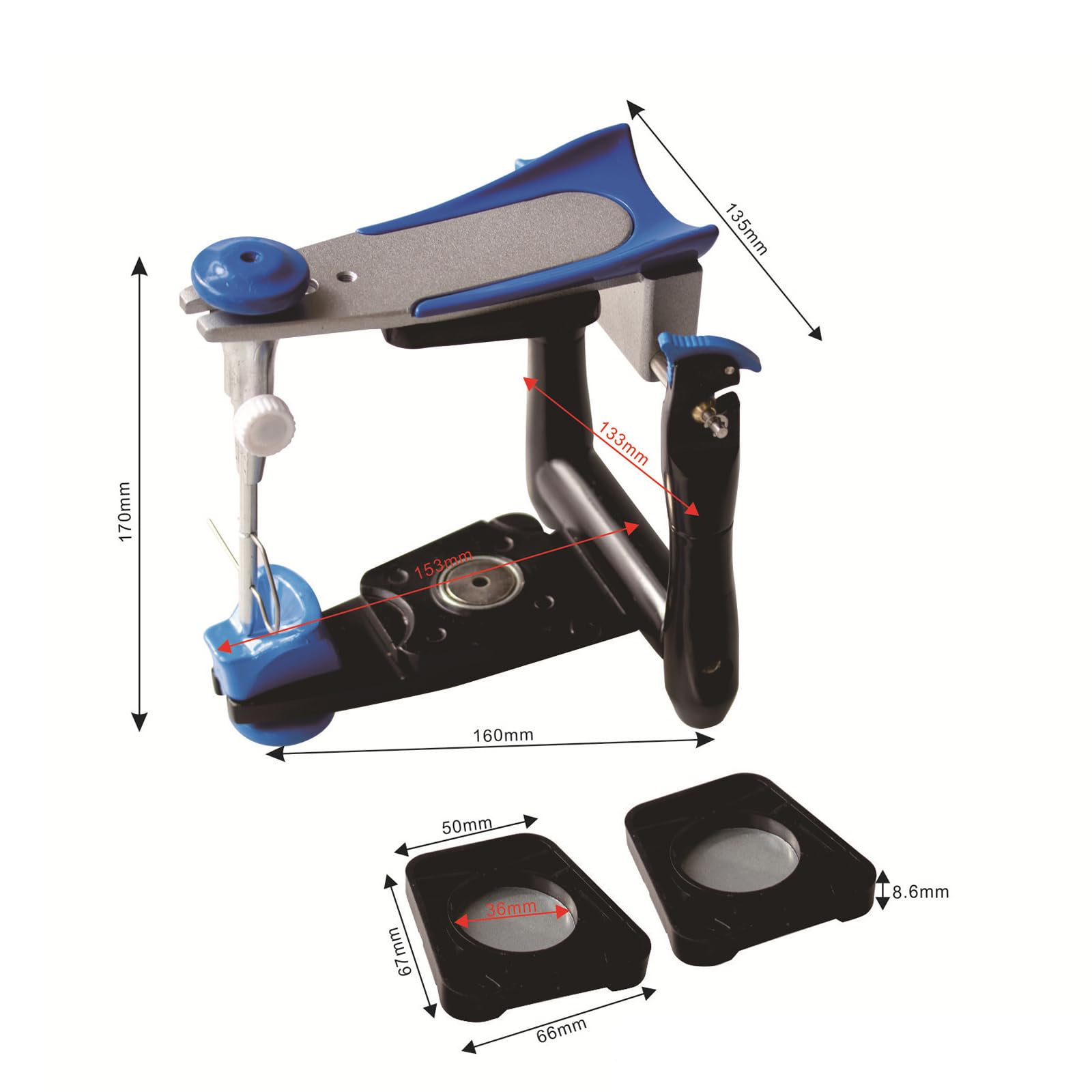 Supporto Funzionale per mascella Funzionale dell'articolatore dell'articolatore del Laboratorio odontotecnico per Protesi Complete orali Supporto,Blu,17cm