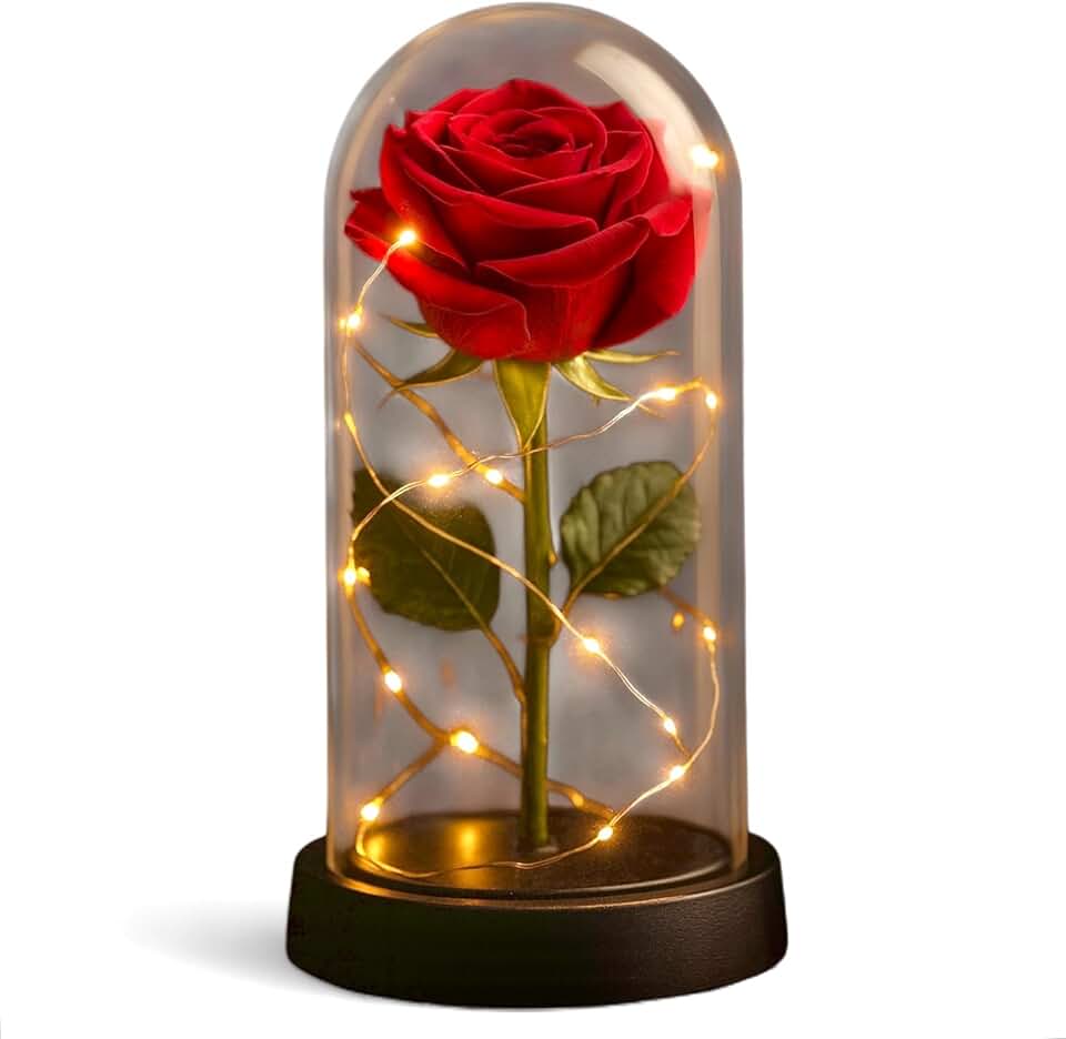 Luminária Rosa Encantada a Bela e a Fera em cúpula CASAMILU | Presente Romântico para Natal, Aniversário de Namoro, Casamento e Dia dos Namorados