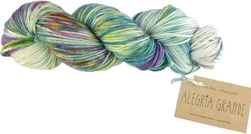 Alegria Grande AG9008 Orquidea, 3.53 oz, hilo para tejer teñido a mano