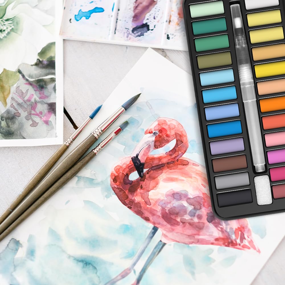Kit de Peinture Aquarelle 24 Couleurs avec Brosses et Éponges, Palette de Poche pour Artistes