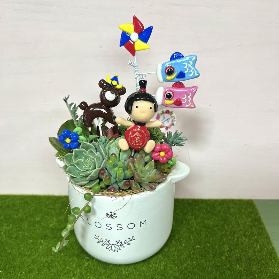 Amazon.co.jp: 多肉植物寄せ植え樹脂粘土レジン(粘土細工)ガーデン