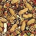 Tropical Carnival Small Hookbill Food – Gourmet Blend with Fruits, Nuts & Seeds, 10 Pounds, Omega 3 & Natural Preservatives, Supports Digestion