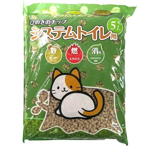 roz[ VXegCpЂ̂̃`bv5k ×6Zbg