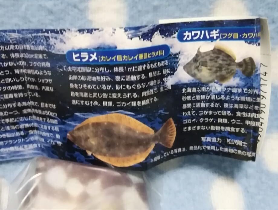 約2m 巨大マグロ 原色？！空気模型図鑑 海水魚版 空ビ 空気ビニール ユージン 約2m 巨大マグロ 原色？！空気模型図鑑 海水魚版 空ビ 空気ビニール