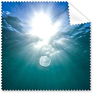 Ocean Water Science Nature Picture Cleaning Cloth Phone Screen Glasses Cleaner 5pcs