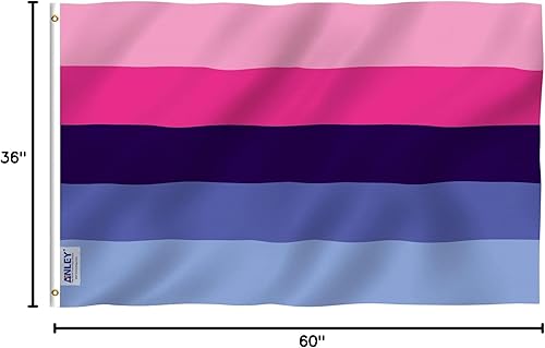 Miniatura 7 de Anley Fly Breeze - Bandera de orgullo omni pansexual omni de 3 x 5 pies, color vivo y a prueba de decoloración, cabecera de lona y doble costura,