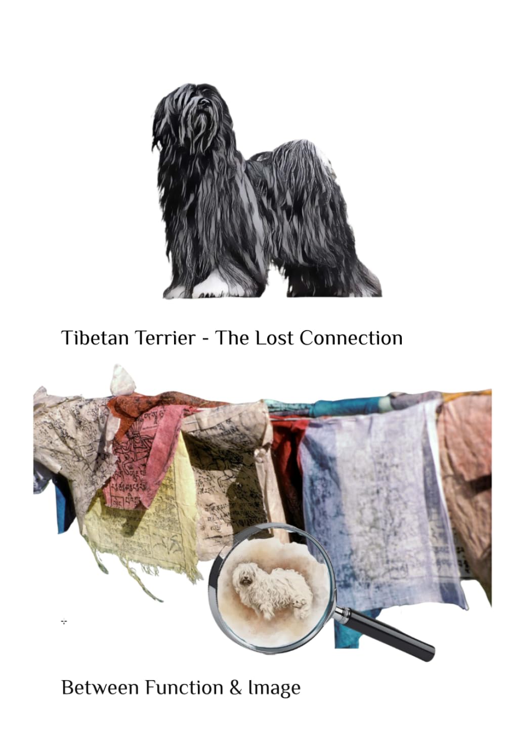 Tibetan Terrier - The Lost Connection: Between Function and Image