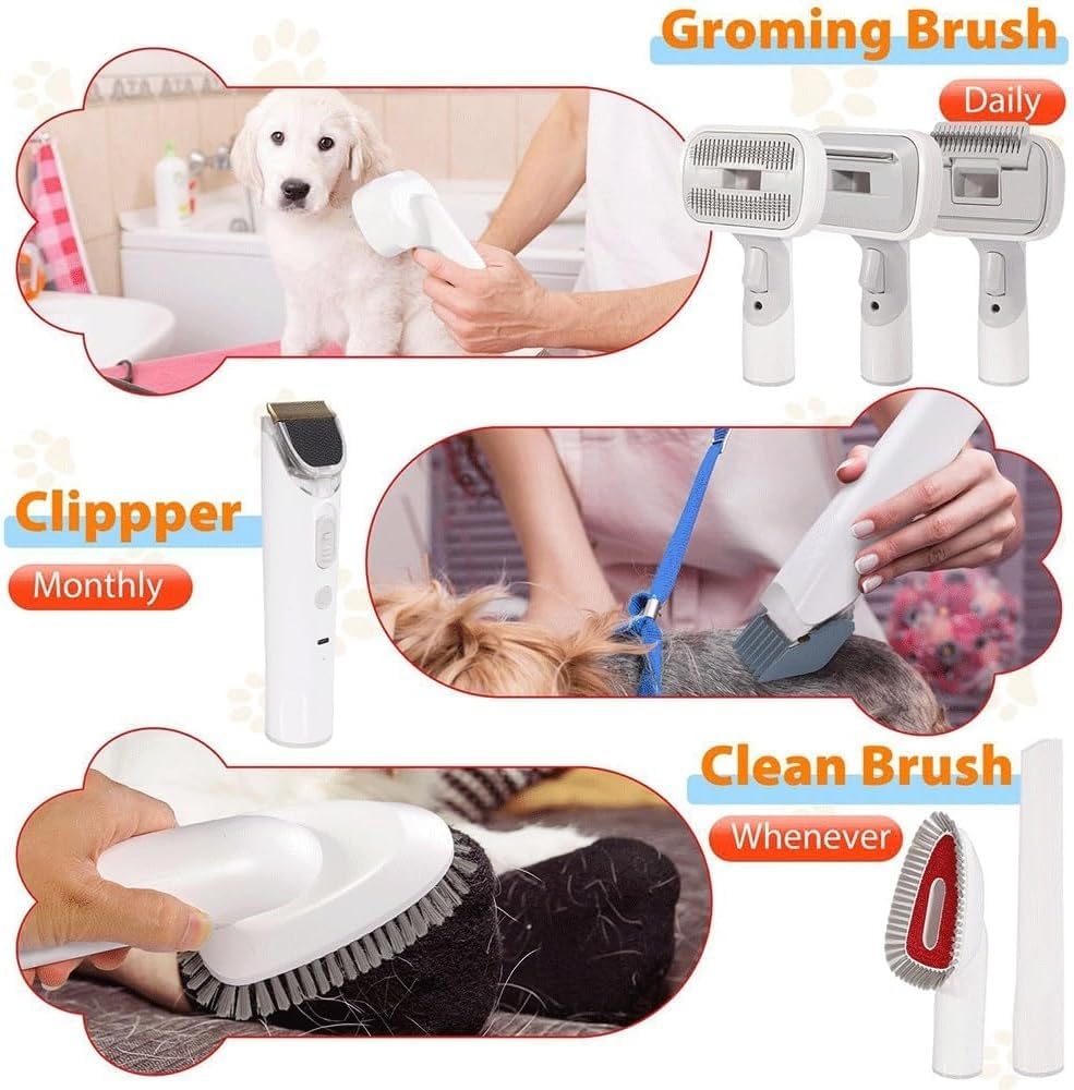 Asciugacapelli Professionale for Cani, Temperatura A velocità Continua, Regolabile for Caldo E Freddo, Soffiatore for Peli di Animali Ad Alta velocità