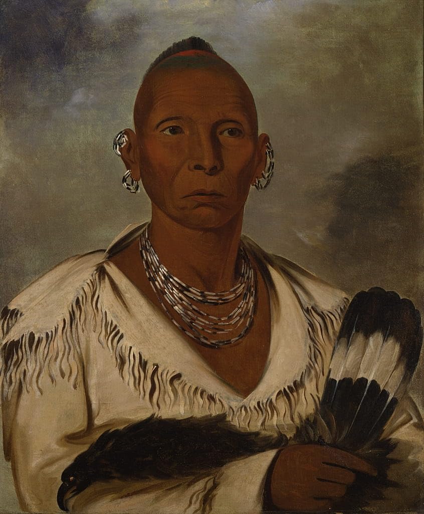 Tableau Black Hawk George Catlin de qualité d'impression supérieure - 5