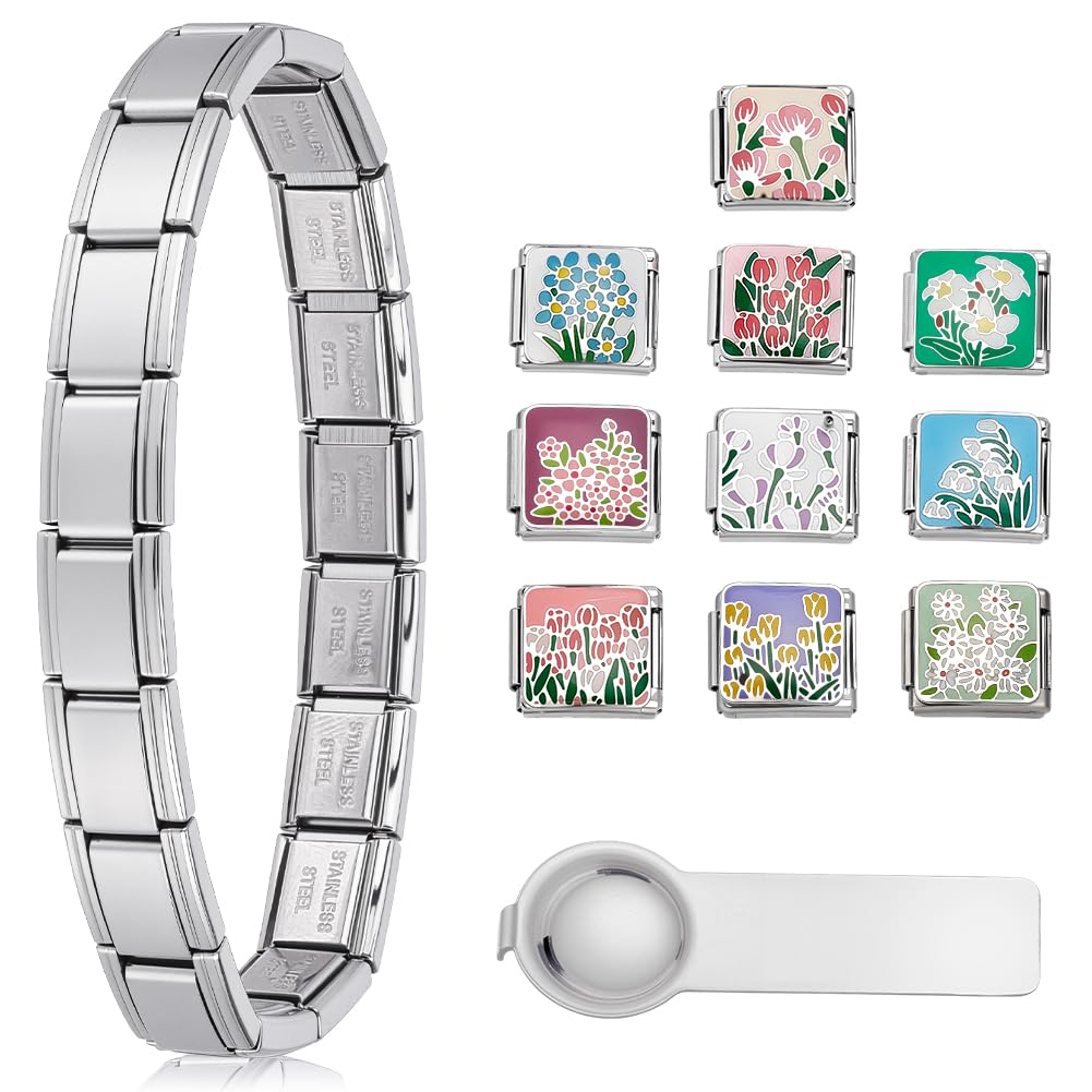 Adjustable Italian Charm Bracelet Set with 1Pcs DIY Modular Charm Bracelet 10Pcs Charms and Opening Tool, Stainless Steel Italian Modular Bracelets Link for Women Men Handmade Jewelry Gifts, Silver