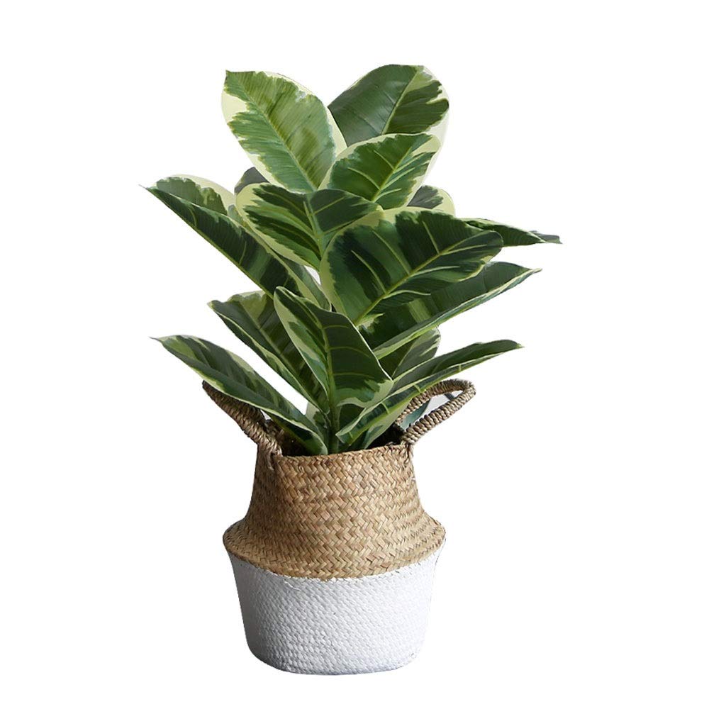 Amazon.de: ZAW Pflanzen Nordic Greenery Pflanze Knstliche Baum Pflanze  Gummibaum Indoor Bonsai-Flschungs-Baum-grne Pflanze Home Office  Dekoration Artificial Pflanzen (Gre : 57cm)