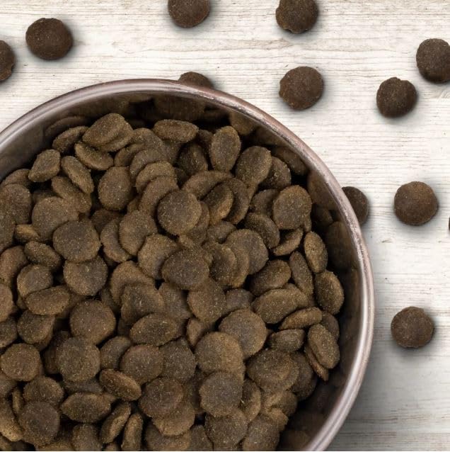 Wildborn Natural Large Breed 1 x 12 kg | Hundetrockenfutter für große Rassen mit frischem Huhn, Ente, Truthahn, Süßkartoffel & Tapioka