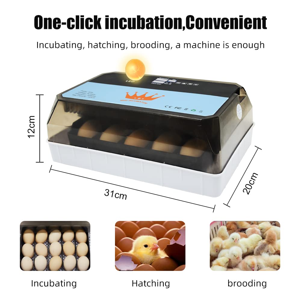 Incubatore per uova Incubatore per uova 40W Incubatore per uova 15 ciotole