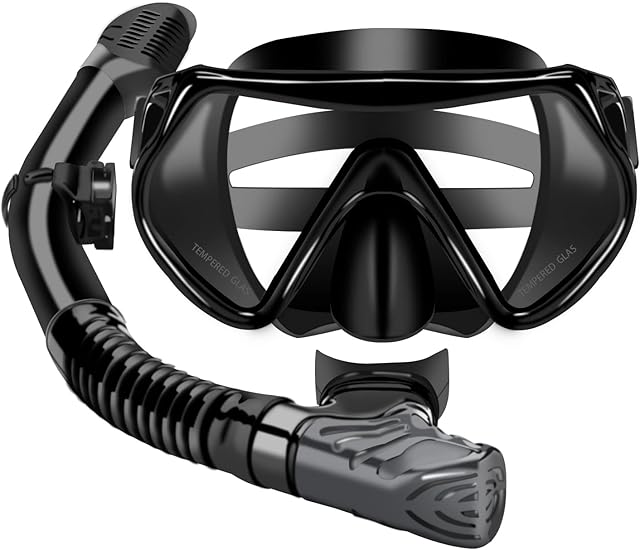 Foldable Professional Diving Mask and Full Dry Snorkel Set for Adult Diving and Snorkeling