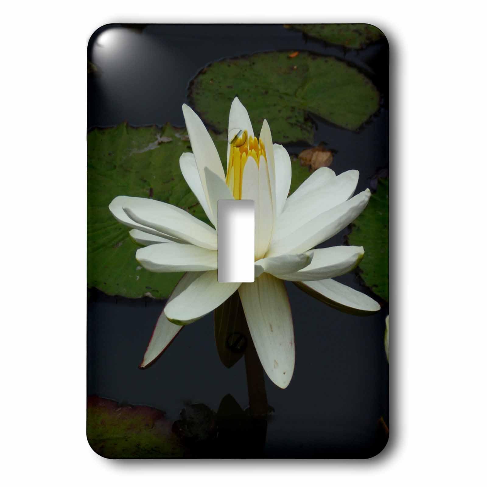 Interrupteur à bascule Asia Lotus Flower plaque décorative murale motif asiatique 3dRose