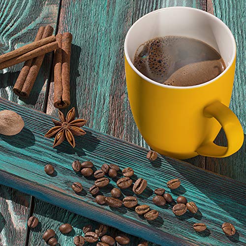 Dr. Jacob's Chi-Cafe proactive 360 g Dose I Kaffeehaltiges Getränkepulver I wild und würzig I mit Akazienfaser Ballaststoffen, Kaffee, Guarana, Ginseng, Gewürzen I Kaffee Alternative I 72 Tassen