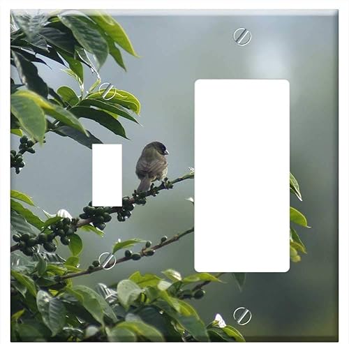 Toggle RockerGFCI Combination Wall Plate Cover - The Field Nature Armenia Quindio 1