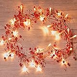 Mosoan Cadena de luces LED de 30 pies funciona con pilas para decoración de Navidad 2 modos de luz guirnalda de bayas rojas iluminada para árbol de Navidad decoración de chimenea interior y exterior