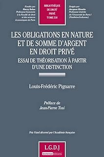 les obligations en nature et de somme d'argent en droit privé: ESSAI DE THÉORISATION À PARTIR D'UNE DISTINCTION (518)