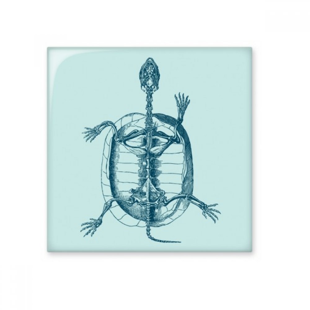 Carrelage céramique brillant squelette tortue artisanat