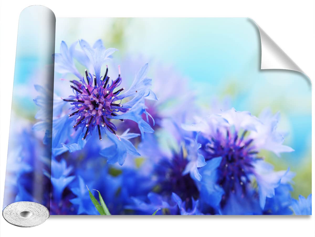 Papier Peint Auto-Adhésif Lavable Cornflowers bleus Protection Murale Pratique