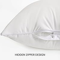 Vista 7 de Oubonun Insertos de almohada de exterior de 12 x 20 pulgadas (paquete de 2) – Almohada cuadrada impermeable – Inserto de almohadas decorativas