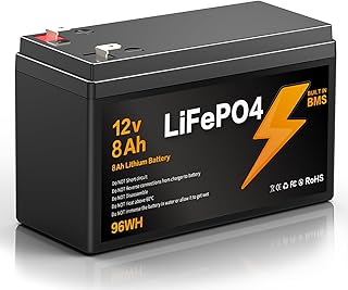 12V 8Ah LiFePO4 Batterie,Lithium Batterie 12.8v 8AH mit Smart BMS Schutz 15000 Zyklen Deep Cycle Lithium Akku,96WH Lithiums Batteries 12.8V 8Ah für Wohnwagen,Camping,Boote (12V 8ah)