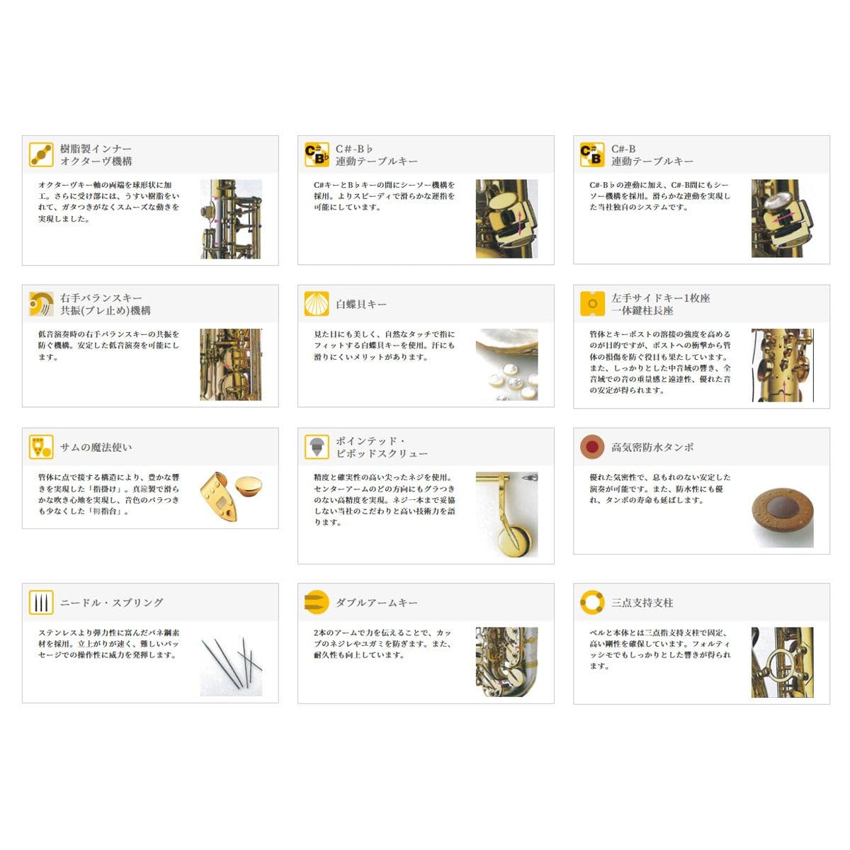 Amazon.com: Yanagisawa TWO10 Professional Bb Tenor Saxophone