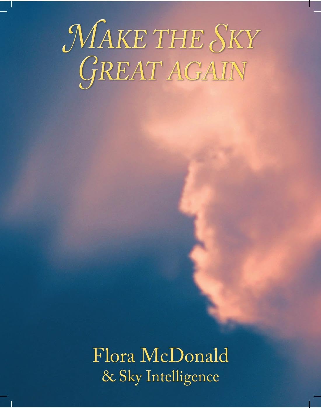 Livre Make the Sky Great Again version anglaise broché pour passionnés