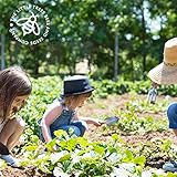 Gardening Gifts Advent Calendar 2025: 25 Premium Vegetable, Salad and Herb Seeds with Twine and Clips for Display, Great for Adults, Kids and the Family - Image 3