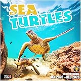 RED EMBER Sea Turtles 2026 Wall Calendar 12 Month | 12