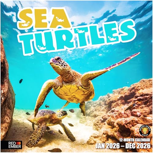 RED EMBER Sea Turtles 2026 Wall Calendar 12 Month | 12