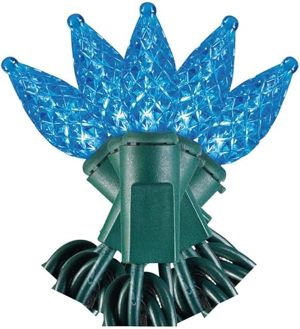 Amazon.ca Home Accents Holiday