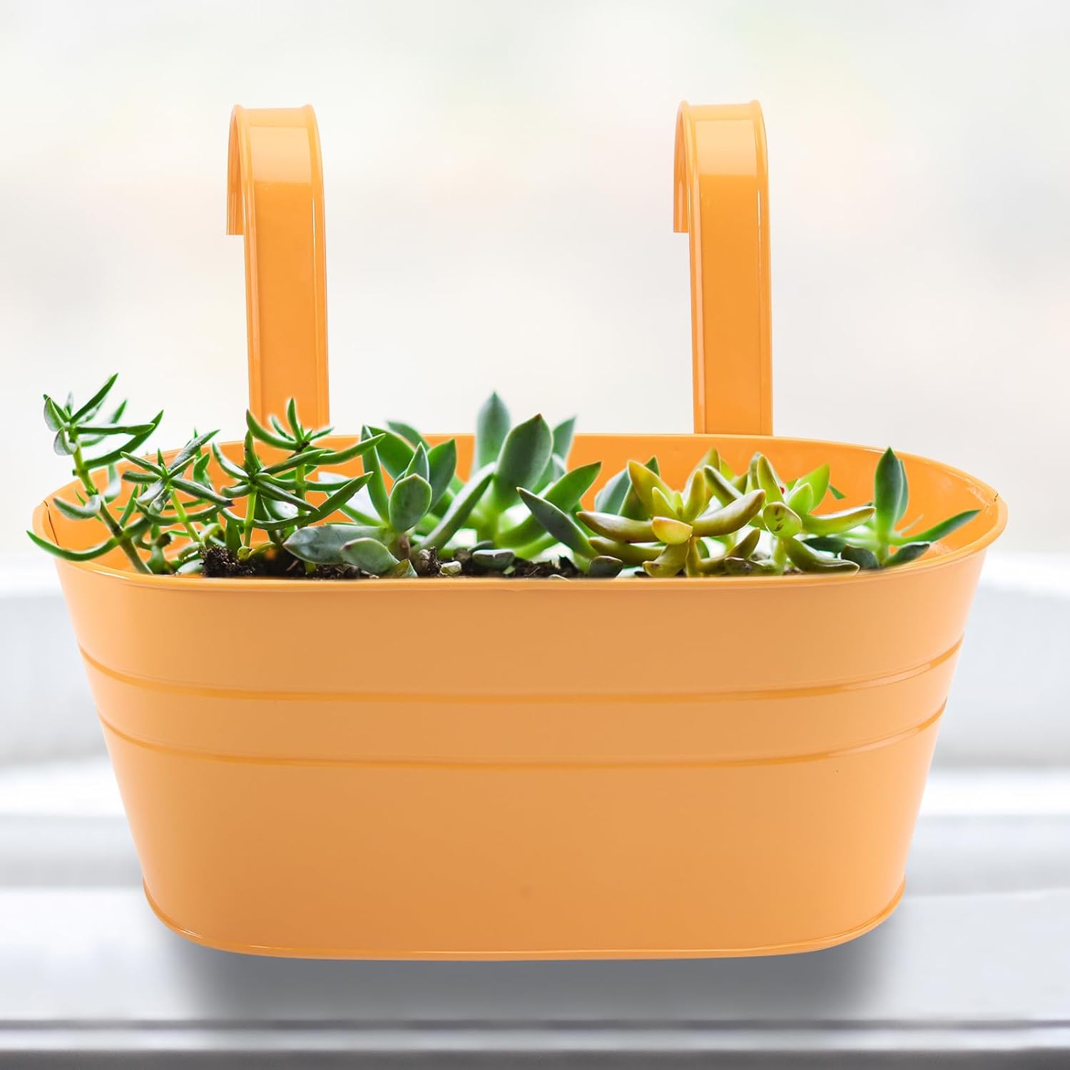 DOITOOL Detachable Wall Mounted Flowerpot Oval Barrel Hanging Flower Pot Decor with Double Hooks 10.62X5.62X4.60In for Garden Balcony Indoor Wall Hanging Planter