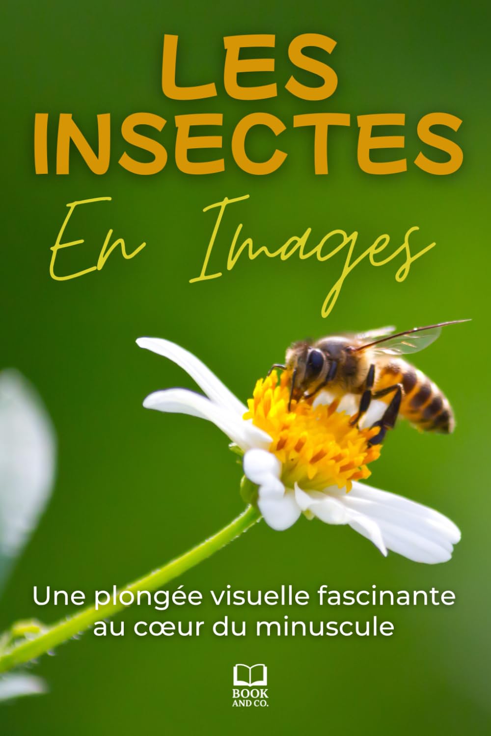 Les insectes en images: Une plongée visuelle fascinante au cœur du minuscule. Livre photo insectes