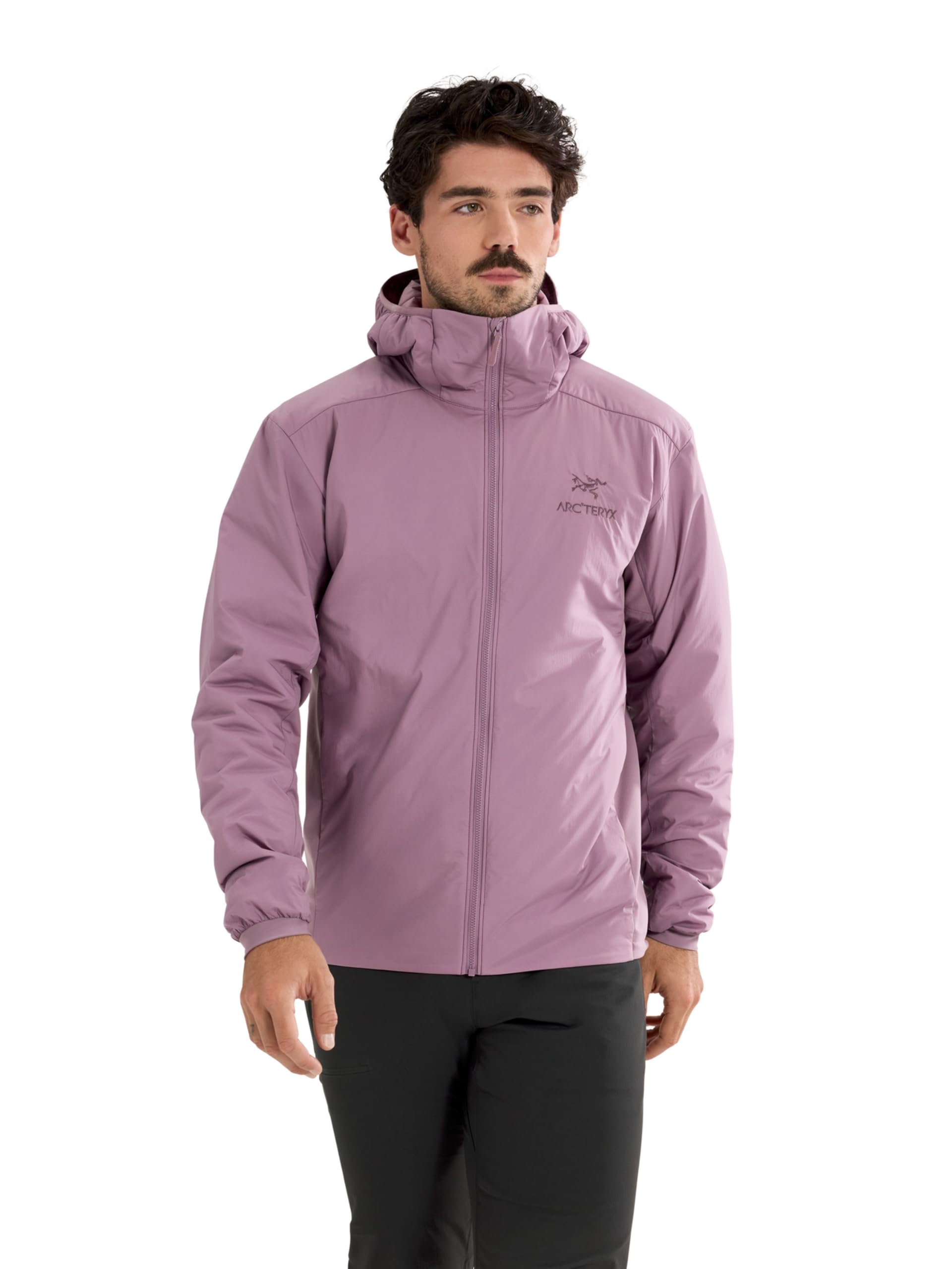 Amazon.co.jp: [アークテリクス] ARCTERYX アトムフーディ男性用
