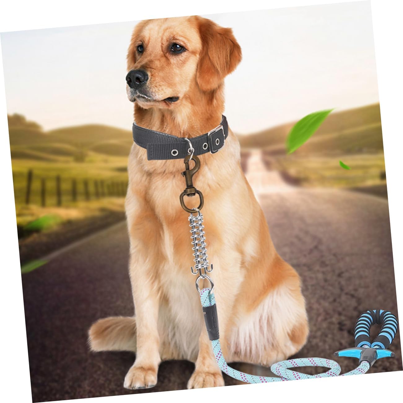 Veemoon 6pcs Pet Collar Hooks Swivel Joint Traction Rope Buckle for Dogs and Cats for Keychains and Leashes Non-Corrosive Design Bronze