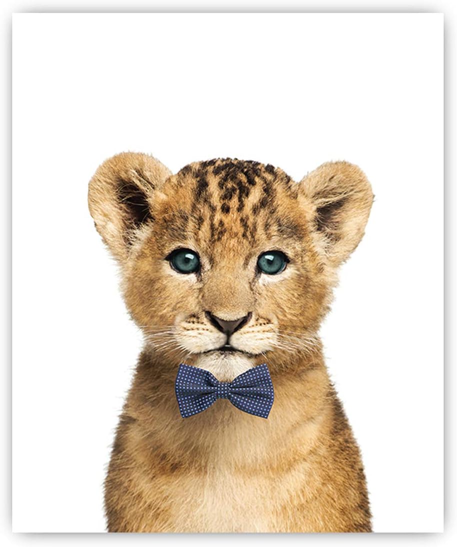 Buy Designs By Maria Inc Safari Bow Ties Baby Animals Nursery Decor Art Set Of 6 Unframed Wall Prints 8x10 Online In Turkey B07td5x8kv