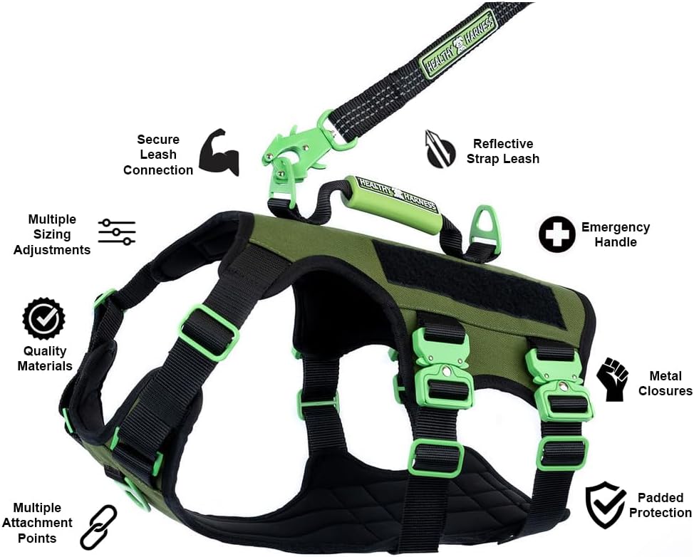 Absolute Adventure Harness - Heavy Duty, No Choke, No Pull, No Escape Dog Harness with Adjustable Padding, Easy On/Off, High Strength Metal Buckles, Emergency Handle and 3 Attachments (Silver, L)