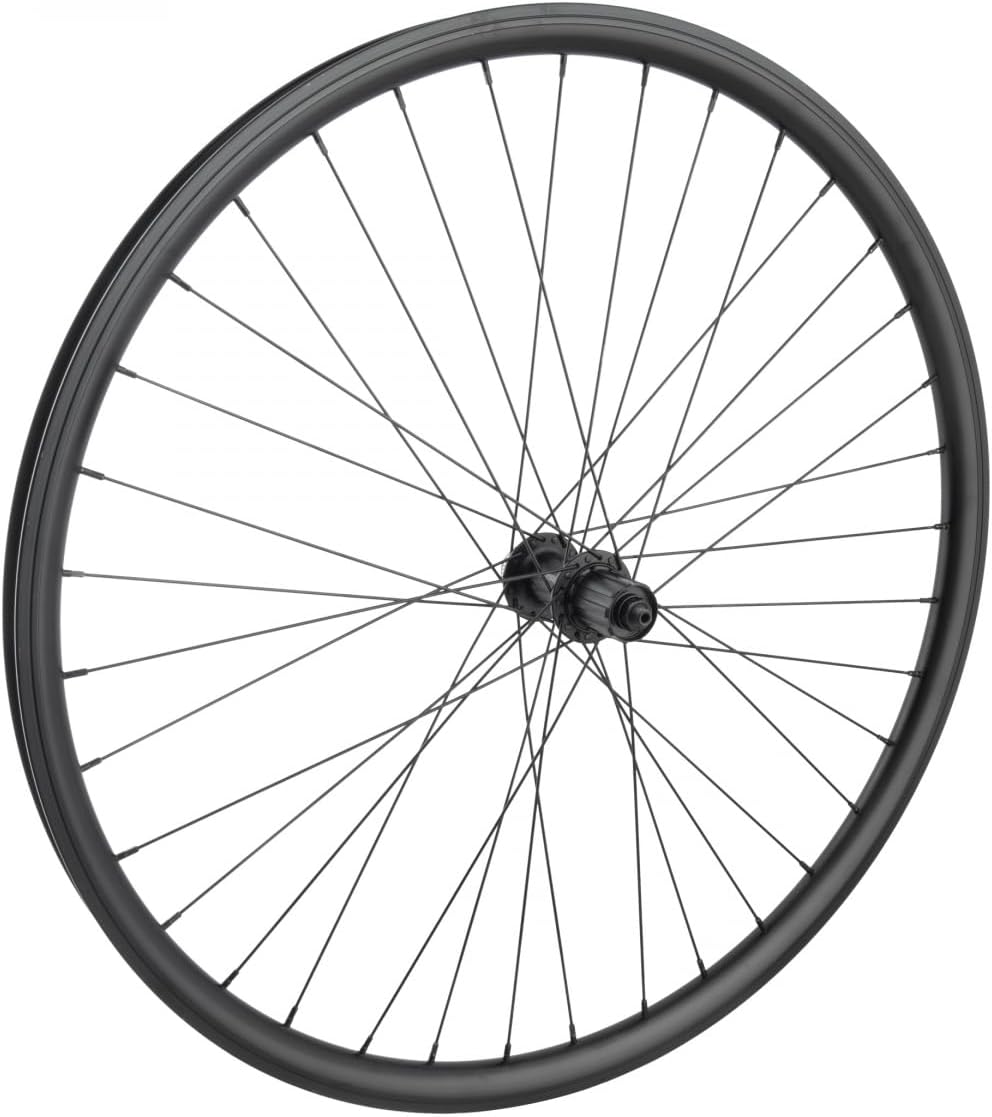 Wheel Master 700C/29in Alloy Hybrid/Comfort Disc Double Wall 700C RR W/M J25SG CL/6B