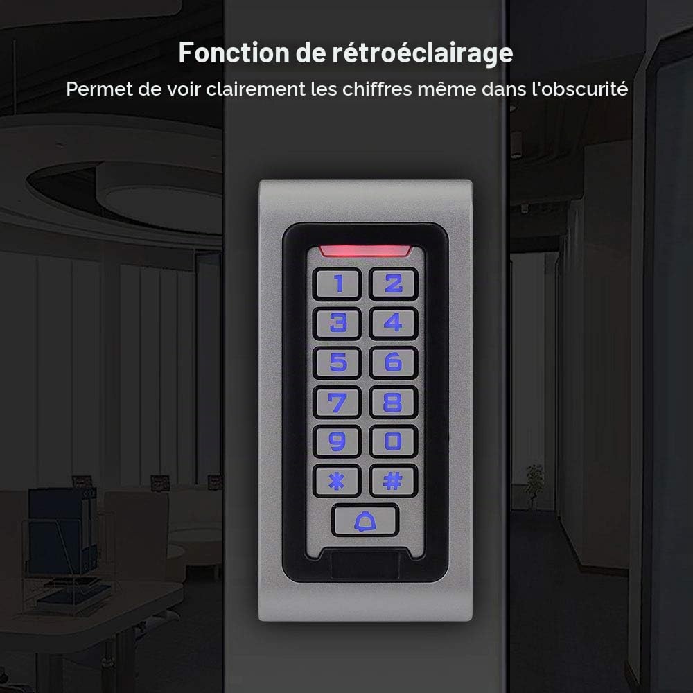 Kit de Système de Contrôle d'accès IP68 Imperméable Clavier RFID Lecteur Métallique WG26 125KHz + Verrouillage Magnétique électrique 180KG + Alimentation DC12V + Cartes Clés 10PCS