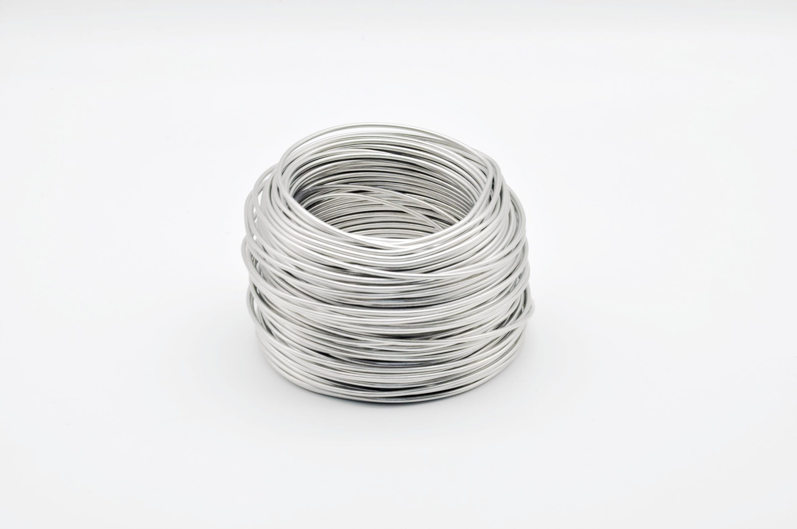 Fil solide en acier inoxydable, 0,5 kg, fil en acier multi-usage, idéal pour les travaux manuels, les projets de bricolage, la fixation, la fixation de clôtures (calibre 1, 16)