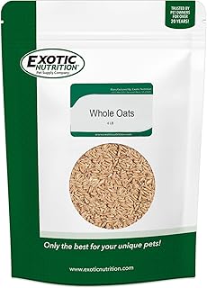 Exotic Nutrition Whole Oats 4 lb. - Healthy Supplemental Food - Natural Whole Oats for Prairie Dogs, Degus & Chinchillasâ€¦