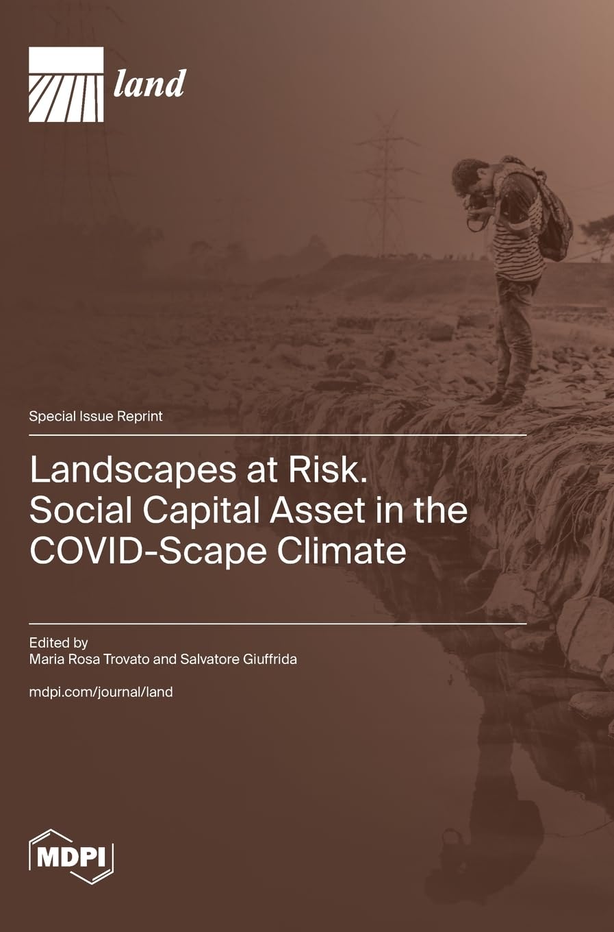 Landscapes at Risk. Social Capital Asset in the COVID-Scape Climate