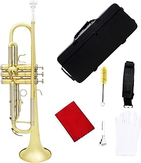 Student Brass Trumpet B Flat Trumpet Brass Gold And Silver Two-color Trumpet Beginner Brass Instrument
